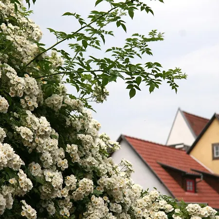 Am Dom Affittacamere Erfurt