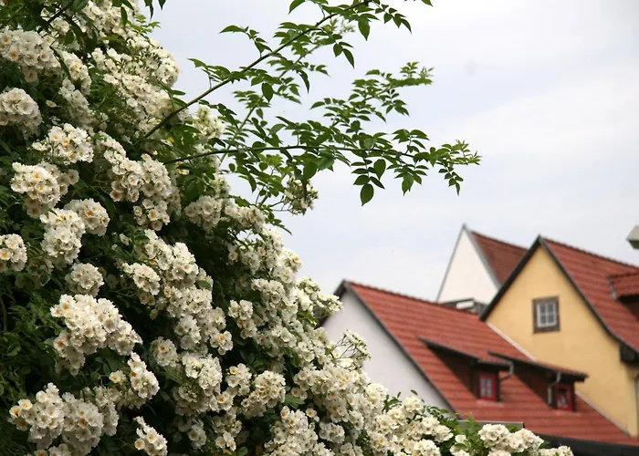 Am Dom Гостевой дом Эрфурт